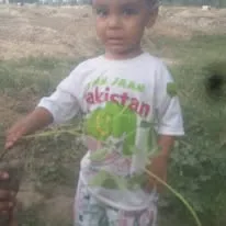 Green Seekers Activity